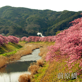 前原橋