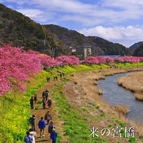 来の宮橋