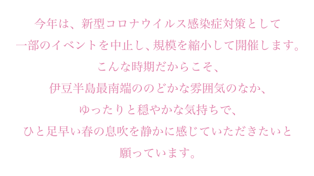 今年は、新型コロナウイルス感染症対策として一部のイベントを中止し、規模を縮小して開催します。こんな時期だからこそ、伊豆半島最南端ののどかな雰囲気のなか、ゆったりと穏やかな気持ちで、ひと足早い春の息吹を静かに感じていただきたいと願っています。