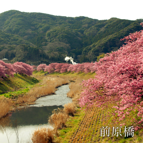 前原橋