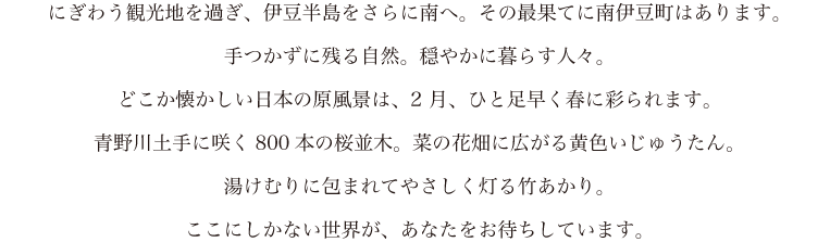 にぎわう観光地を過ぎ、伊豆半島をさらに南へ。その最果てに南伊豆町はあります。手つかずに残る自然。穏やかに暮らす人々。どこか懐かしい日本の原風景は、2 月、ひと足早く春に彩られます。青野川土手に咲く800本の桜並木。菜の花畑に広がる黄色いじゅうたん。湯けむりに包まれてやさしく灯る竹あかり。ここにしかない世界が、あなたをお待ちしています。