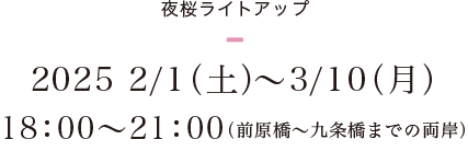 ＜夜桜ライトアップ＞2025 2/1（土）～3/10（月） 18：00～21：00（前原橋～九条橋までの両岸）