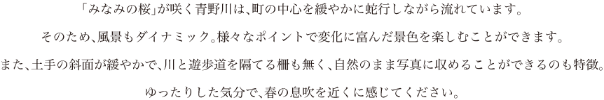 「みなみの桜」が咲く青野川は、町の中心を緩やかに蛇行しながら流れています。そのため、風景もダイナミック。様々なポイントで変化に富んだ景色を楽しむことができます。また、土手の斜面が緩やかで、川と遊歩道を隔てる柵も無く、自然のまま写真に収めることができるのも特徴。ゆったりした気分で、春の息吹を近くに感じてください。