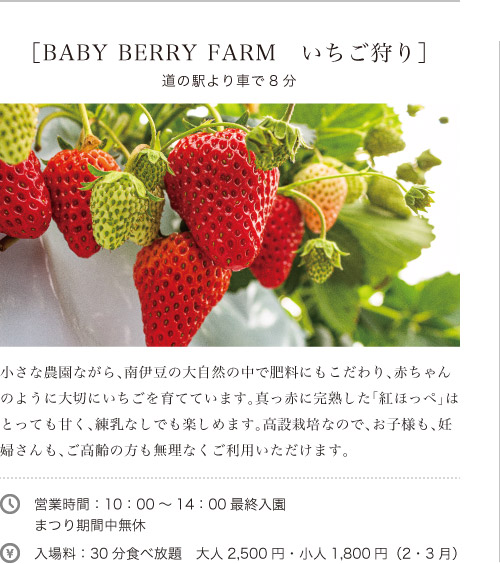 ［BABY BERRY FARM　いちご狩り］道の駅より車で8分